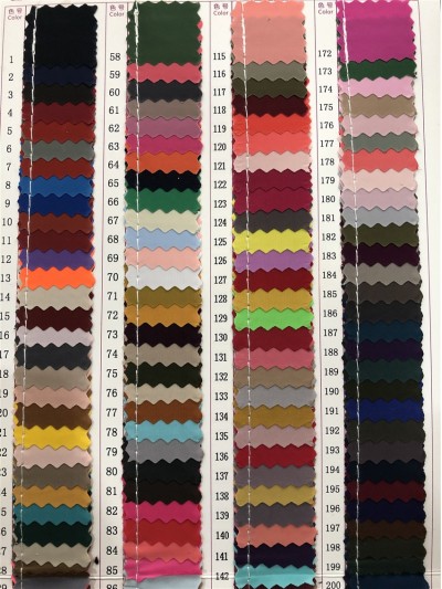 GZ-JNHE 1229 尼龍面料  背囊/雨衣面料  正面照